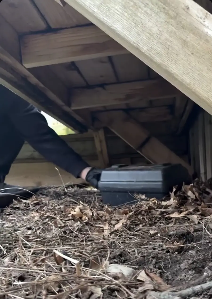 Ridge Pest Control rodent bait station under deck